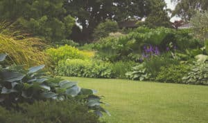 green lawn and garden easy-to-do landscaping tips to help sell your house